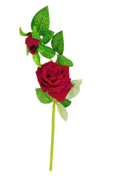 IMG-20251205-WA0051-removebg-preview