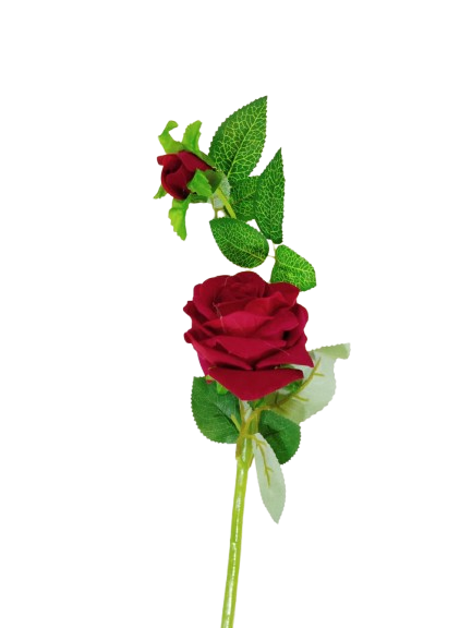 IMG-20251205-WA0052-removebg-preview