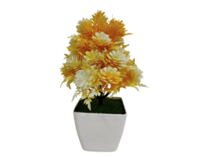 Vibrant Tabletop Home Decor Plants (Pack of 3)